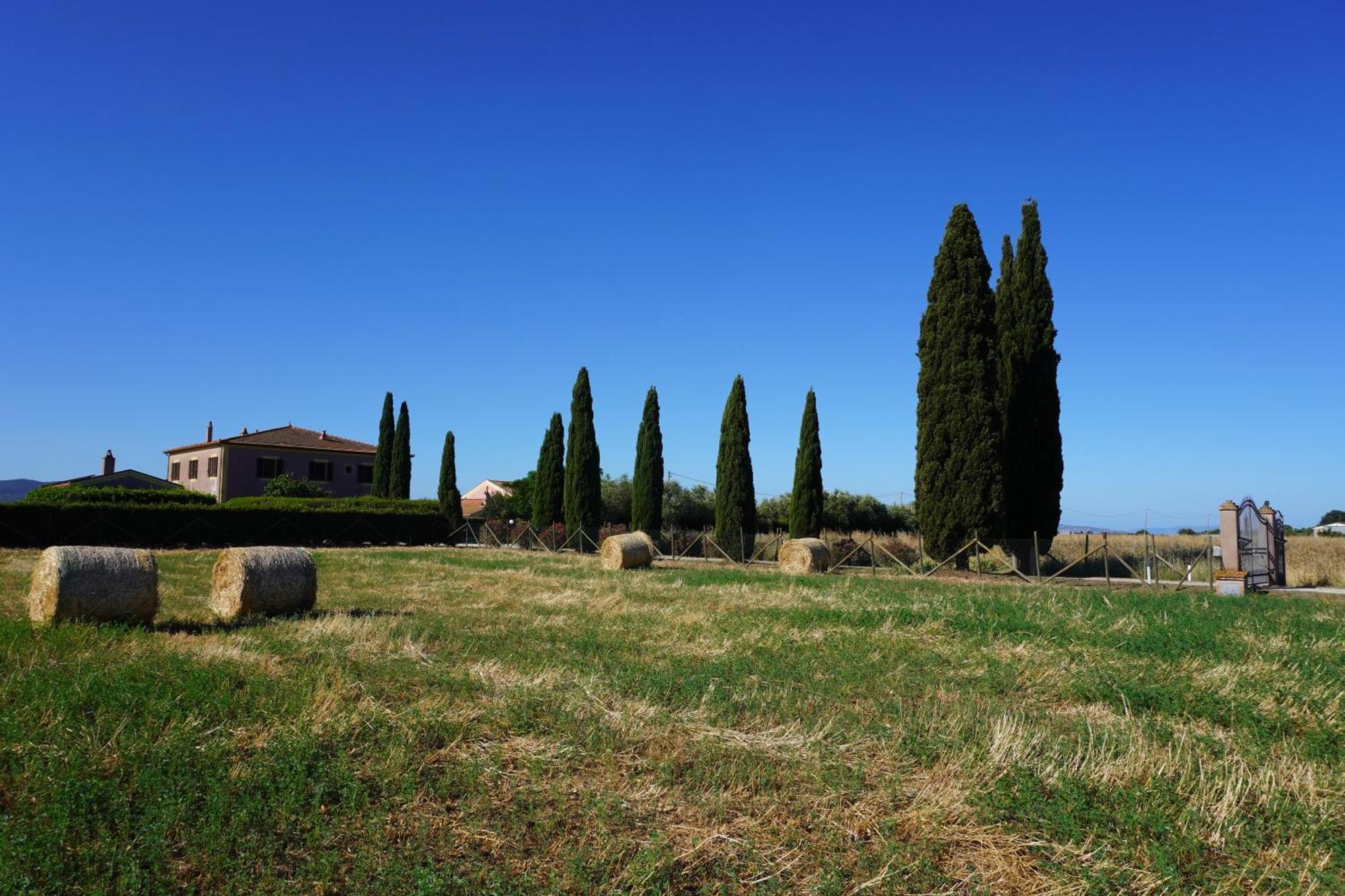 Agriturismo Podere Santa Virginia อัลบิเนีย ภายนอก รูปภาพ