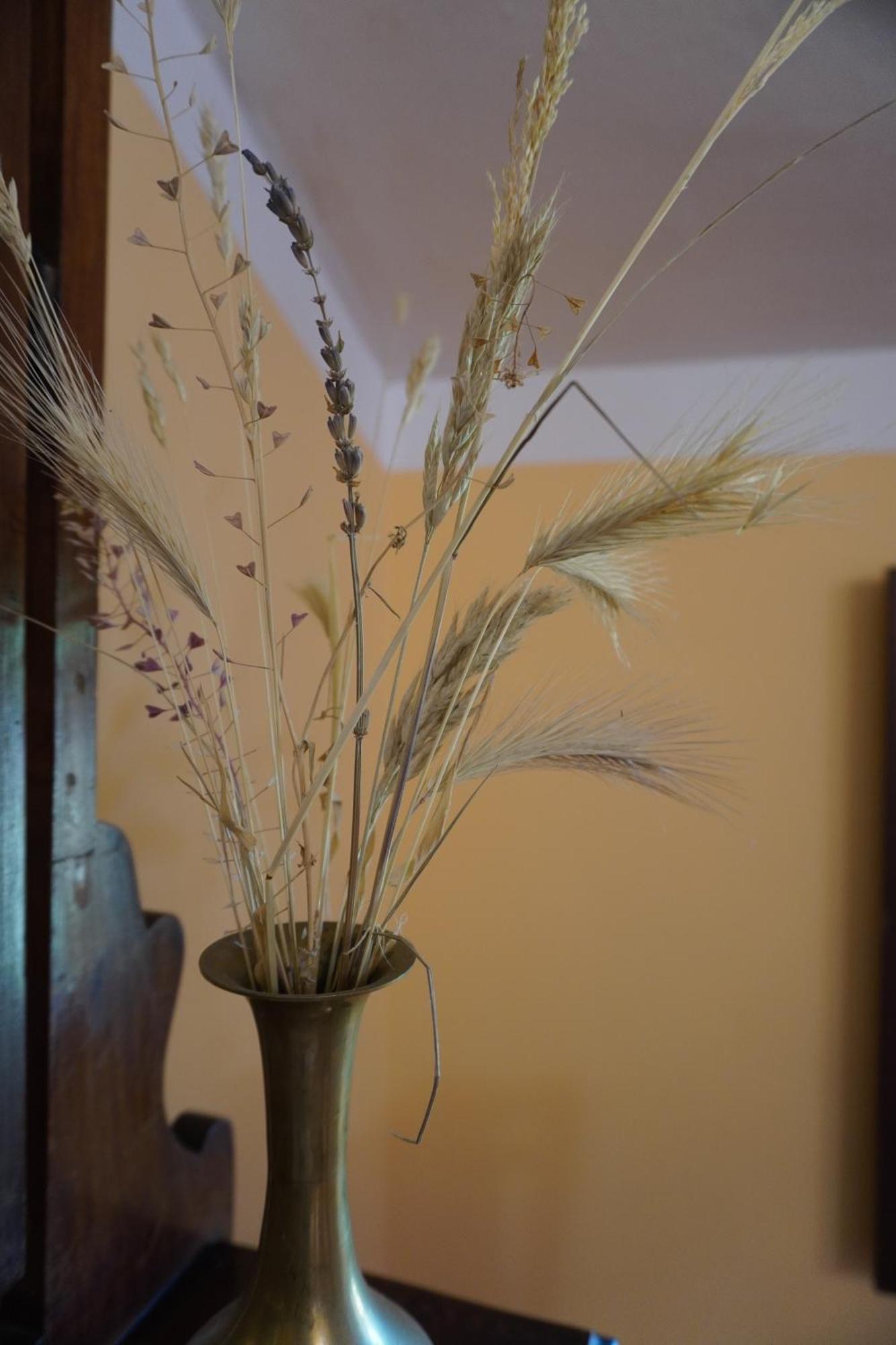 Agriturismo Podere Santa Virginia อัลบิเนีย ภายนอก รูปภาพ
