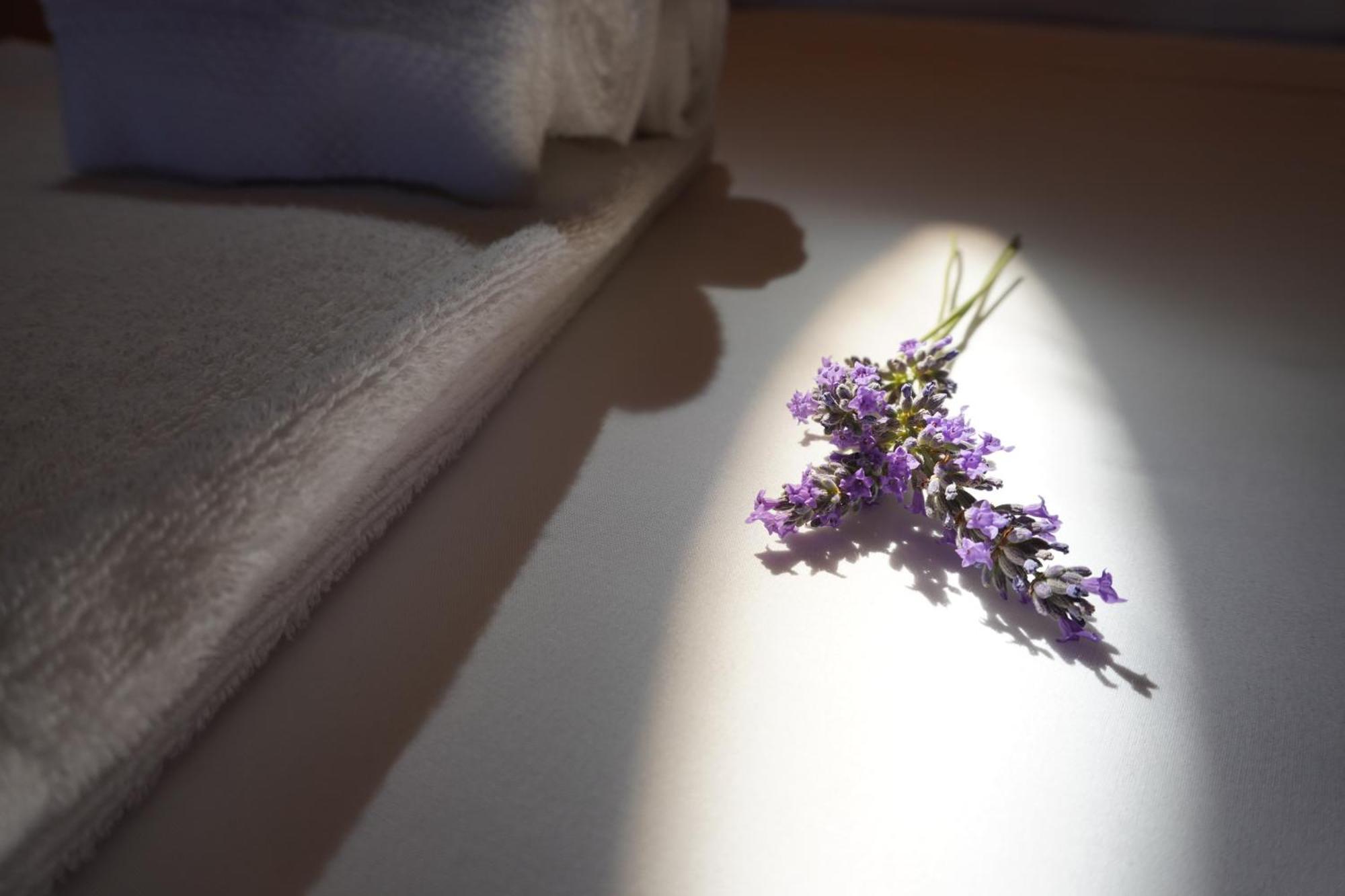Agriturismo Podere Santa Virginia อัลบิเนีย ภายนอก รูปภาพ
